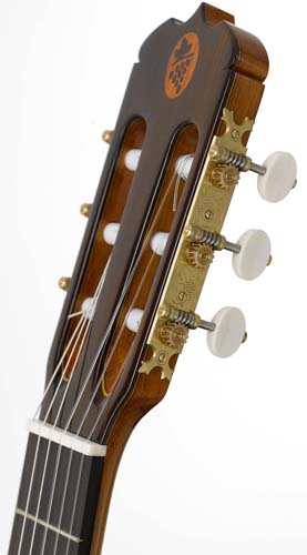 tr-delvino-4.jpg